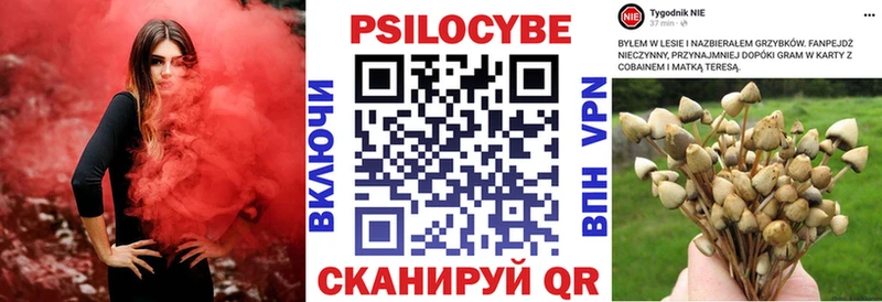 Псилоцибиновые грибы Psilocybe Оха