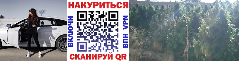 Шишки марихуана тримм  hydra вход  Оха 